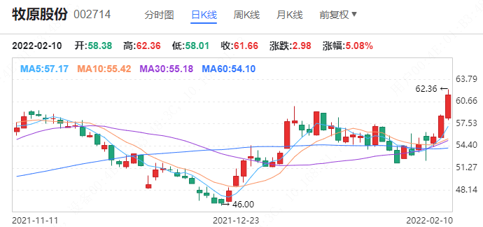 牧原股份股票行情深度解析，牧原股份股票行情全面深度解析