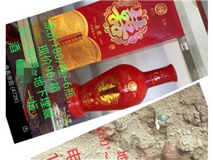 王中王一188肖論一壇，深度解析與SEO優(yōu)化策略，王中王一深度解析與SEO優(yōu)化策略一壇，策略解析與實戰(zhàn)指南