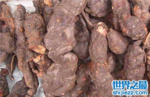 何首烏的功效與作用及食用方法，何首烏，功效、作用與食用方法全解析