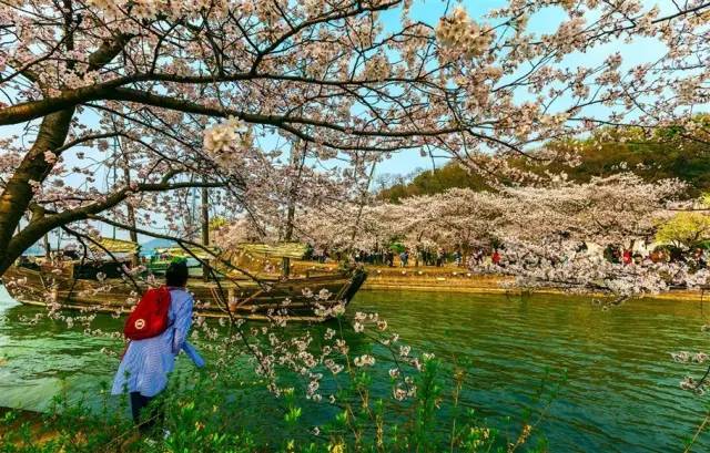 春季旅游最佳去處，追尋生機(jī)與美景的理想之地，春季旅游最佳目的地，追尋生機(jī)與美景的理想之旅
