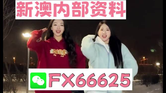 新澳一碼一肖一特一中一特347期，揭秘彩票背后的秘密與策略，揭秘彩票背后的秘密與策略，新澳一碼一肖一特一中一特第347期分析解讀