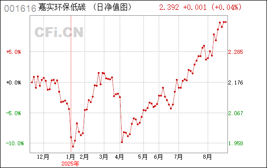 關(guān)于數(shù)字001616的奧秘與SEO優(yōu)化策略探討，數(shù)字001616的神秘面紗與SEO優(yōu)化策略探討