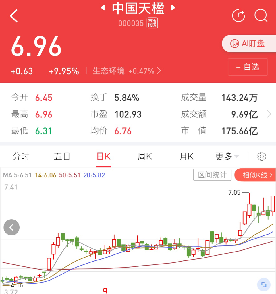 中國天楹股票，深度解析與前景展望，中國天楹股票深度解析與前景展望