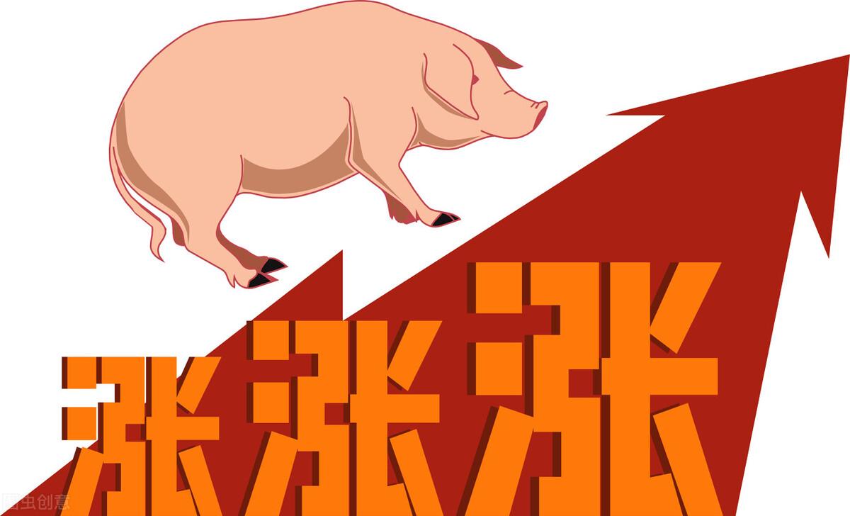 殲-26垂直起降戰(zhàn)機(jī)視頻展示與解析，殲-26垂直起降戰(zhàn)機(jī)展示與深度解析視頻揭秘