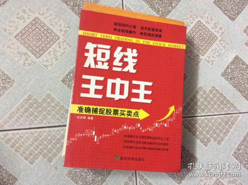王中王平特一肖中的奧秘與探索，王中王平特一肖的奧秘與探索之旅